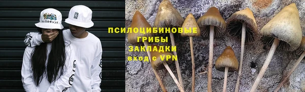 герыч Магас
