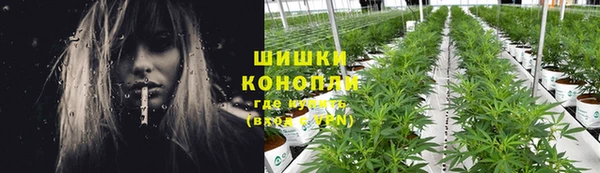 крисы Ачинск