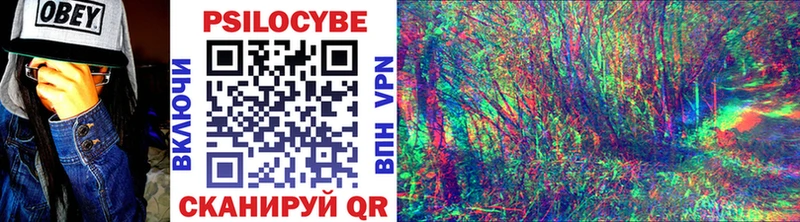 OMG как войти  Куса  Псилоцибиновые грибы Psilocybine cubensis  наркота 